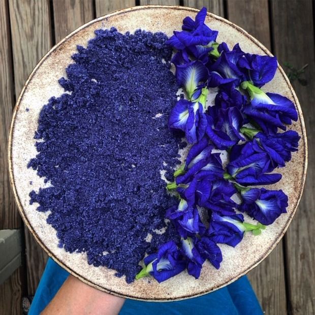Butterfly Pea Flower (Clitoria Ternatea)